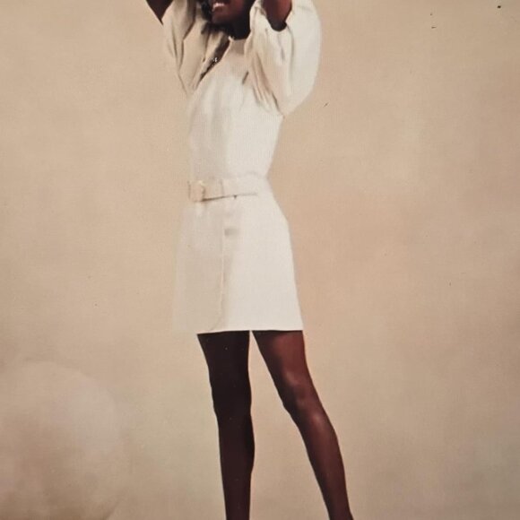 Banana Republic Harbison Mini Skirt A line Wrap Pink with detachable belt (NWT) - Picture 5 of 5